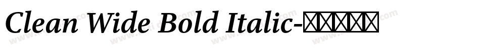 Clean Wide Bold Italic字体转换